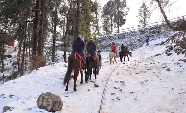 Shimla Tour With Private Cab